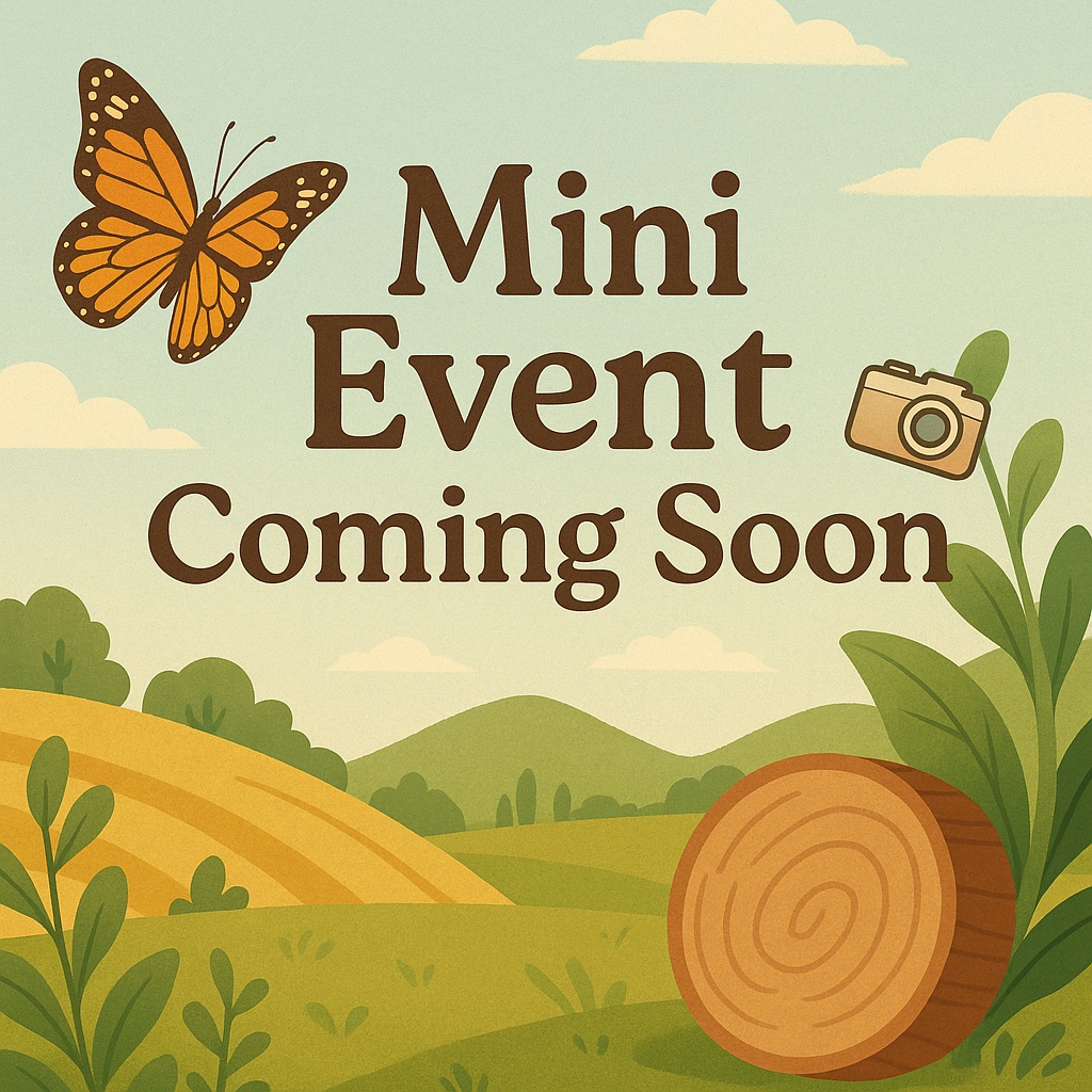 Mini Event 2